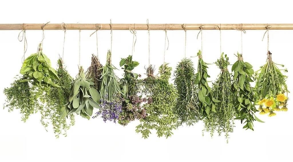 A diverse selection of aromatic herbs, each tied with a string for convenient storage.